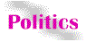 80zbuttpolitics.gif (1928 bytes)